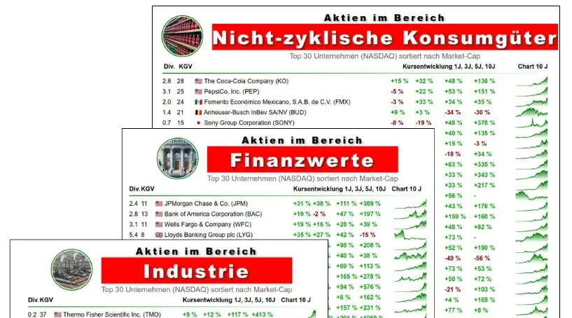 Einzelaktien kennenlernen